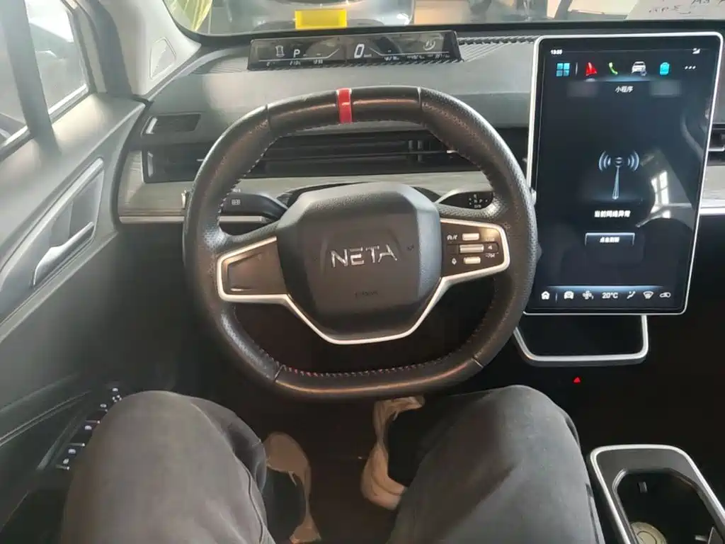 Neta Neta V — миниатюра 11