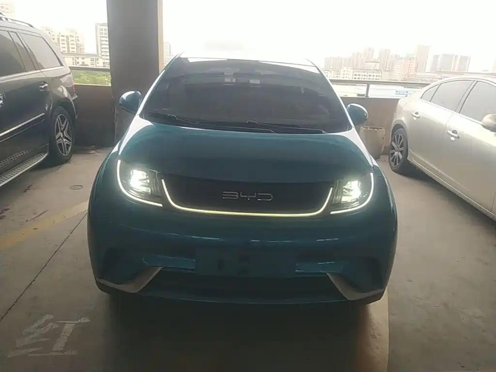 BYD Dolphin — миниатюра 3