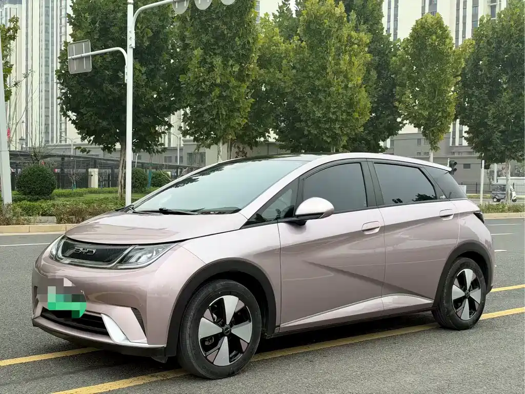 BYD Dolphin