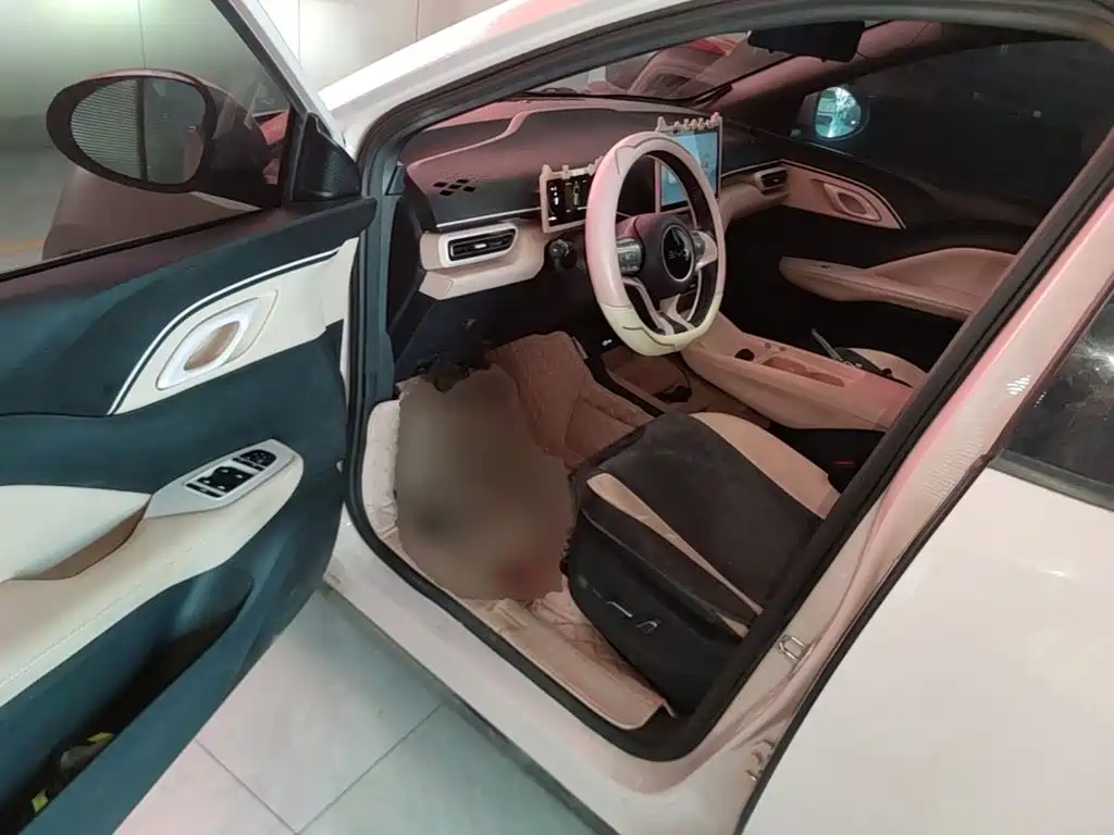BYD Seagull — миниатюра 16