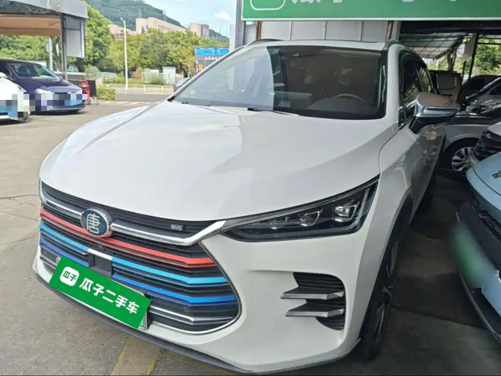 BYD Tang New Energy — миниатюра 2