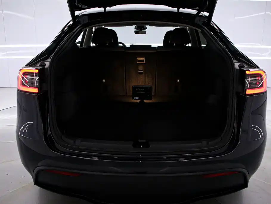 Tesla Model Y — миниатюра 15