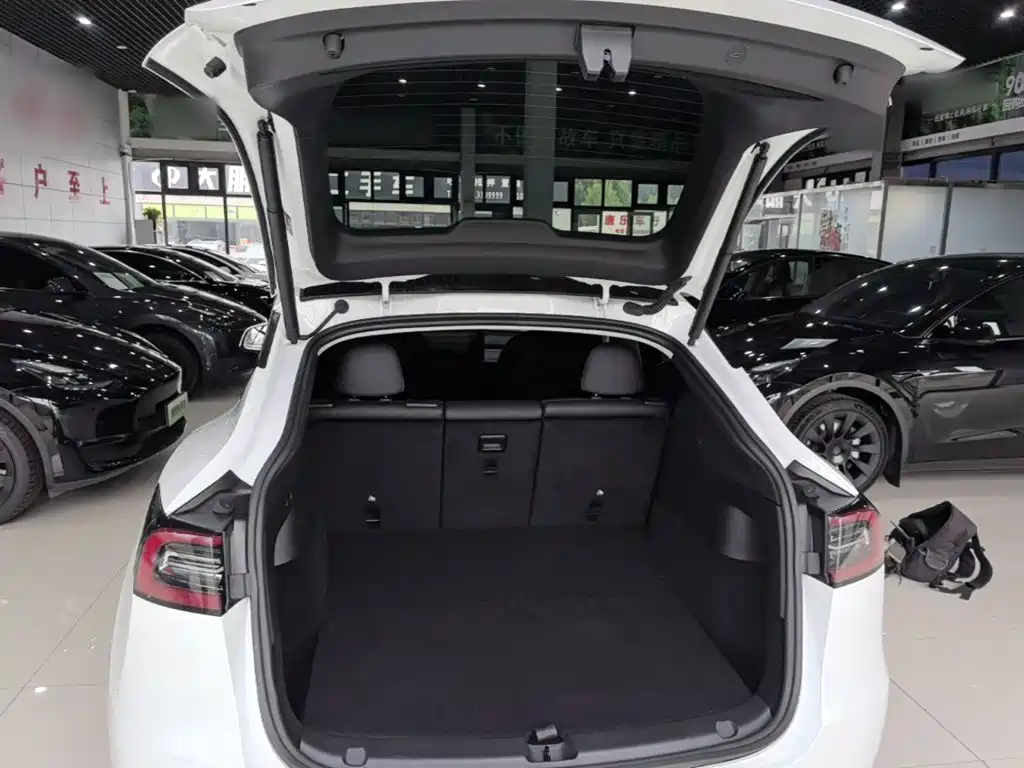 Tesla Model Y — миниатюра 19