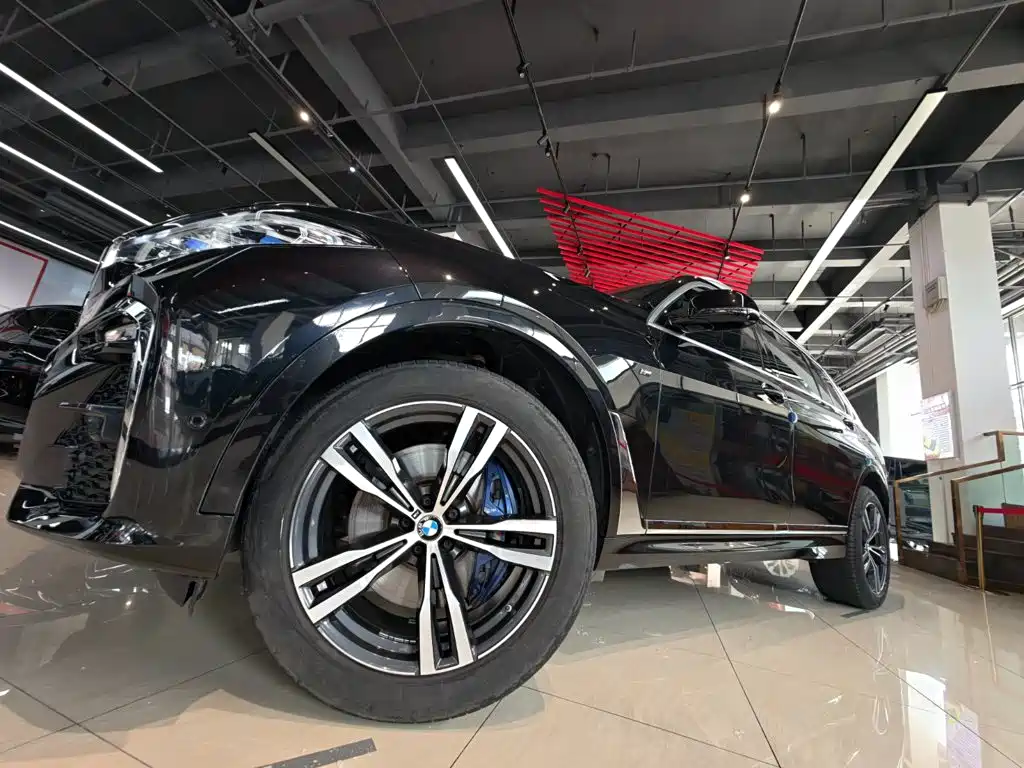 BMW X7 — миниатюра 11
