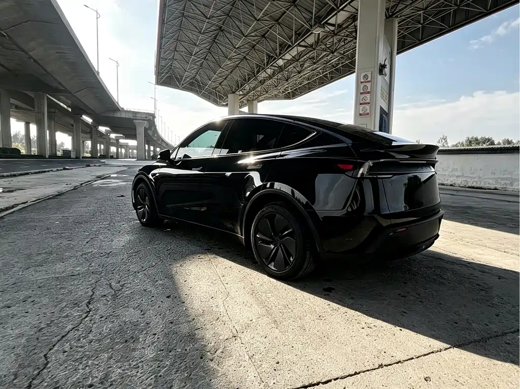 Tesla Model Y — миниатюра 3
