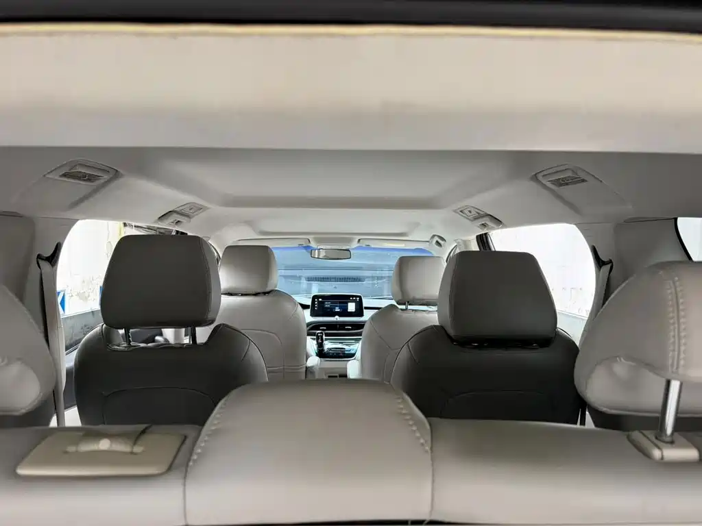 Buick GL8 — миниатюра 12