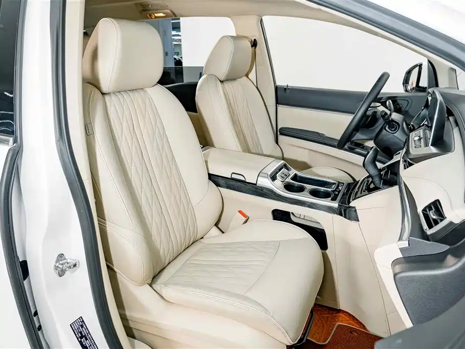 Buick GL8 — миниатюра 19