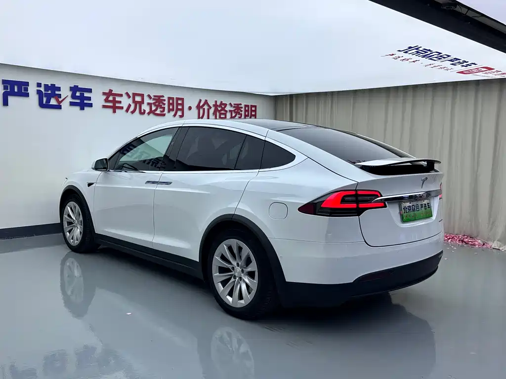 Tesla Model X — миниатюра 24