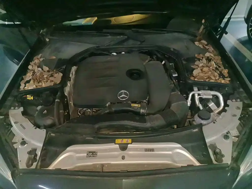 Mercedes-Benz C-Class — миниатюра 16
