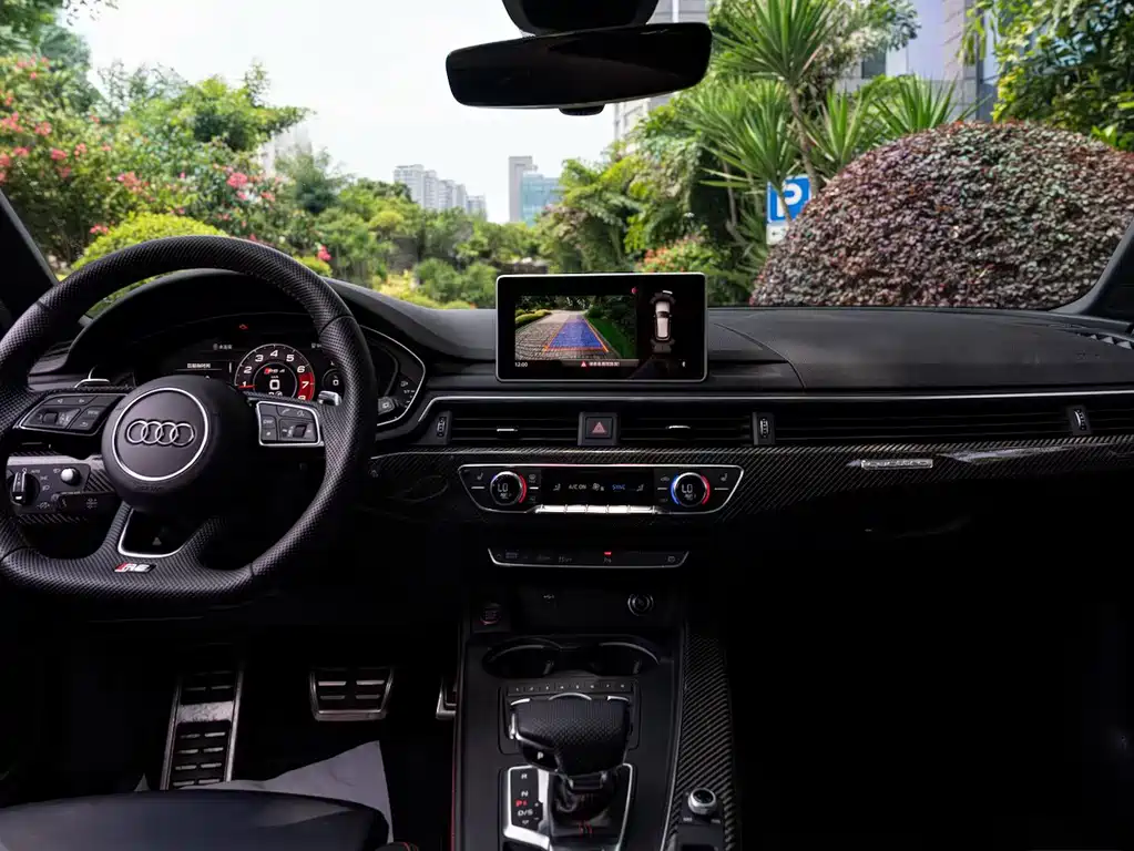 Audi RS 4 2019 RS 4 2.9T Avant