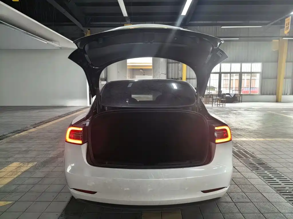 Tesla Model 3 — миниатюра 19