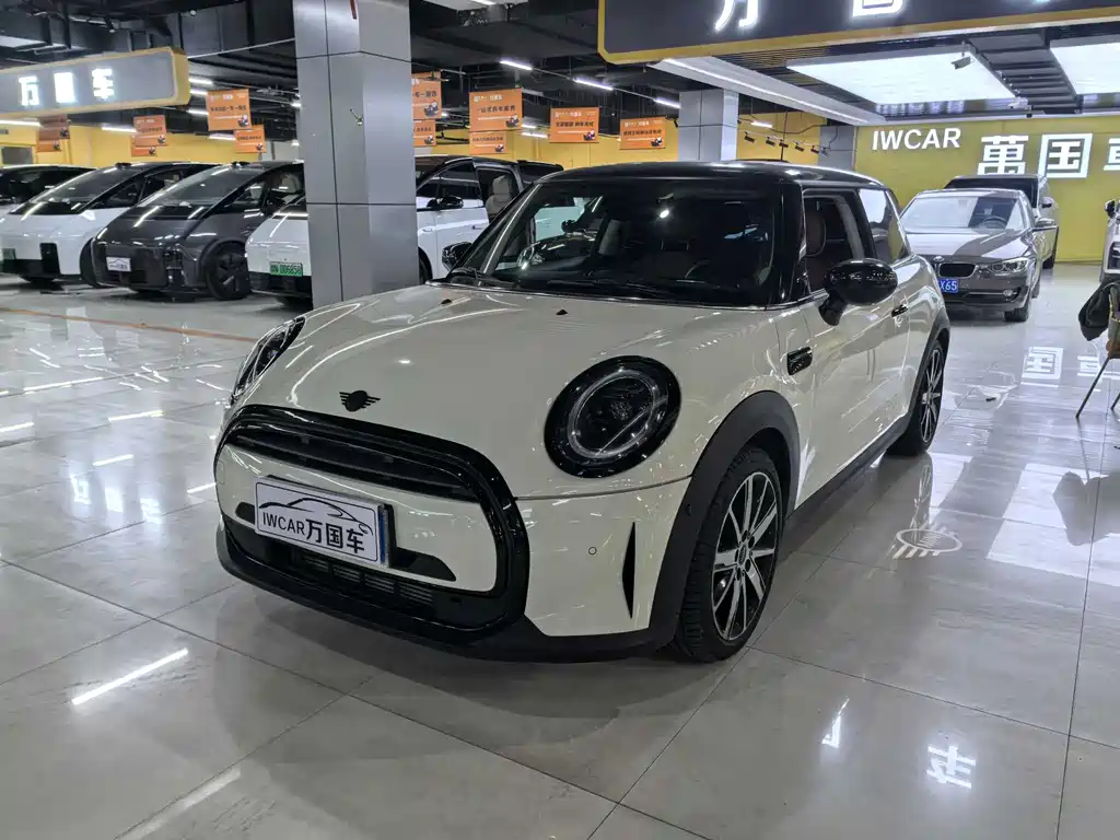 Mini Mini 2022
