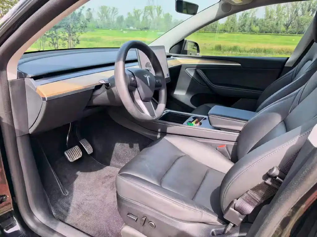 Tesla Model Y — миниатюра 5