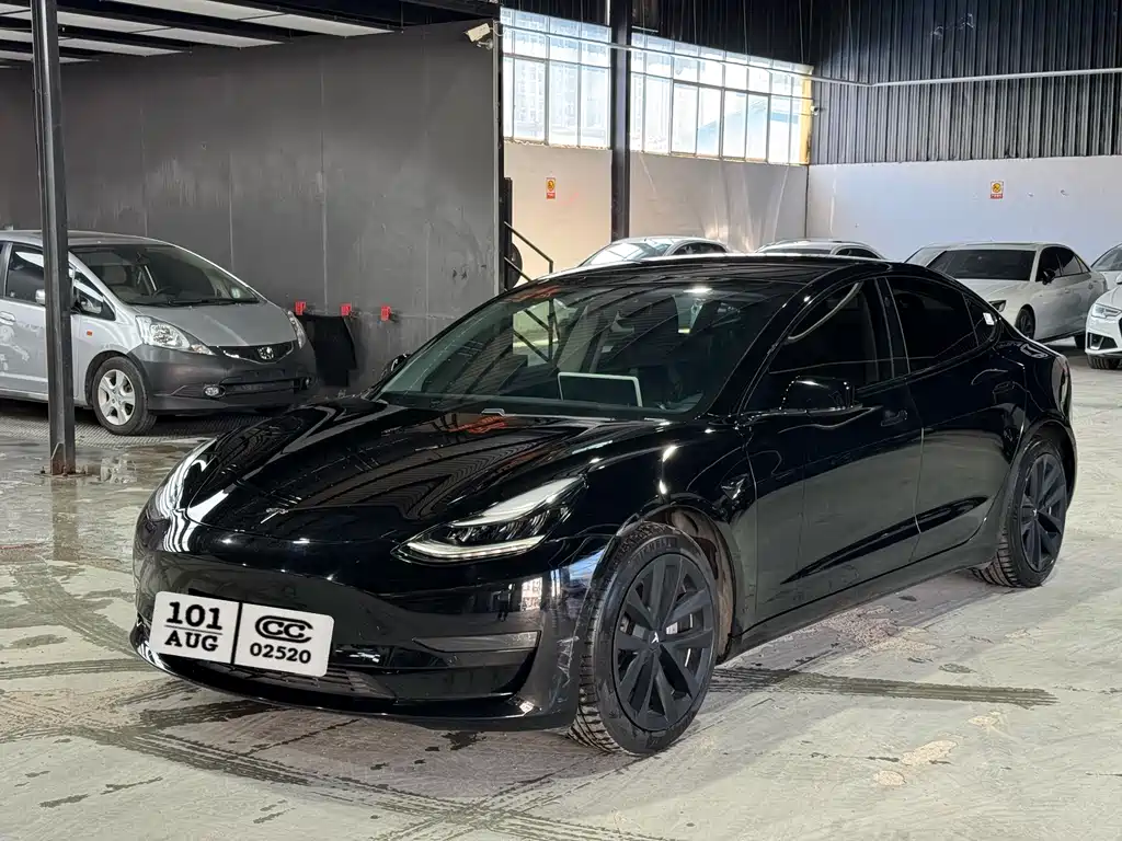 Tesla Model 3 2020