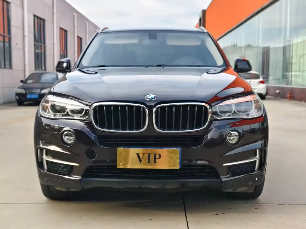 BMW X5 (Import) — миниатюра 2