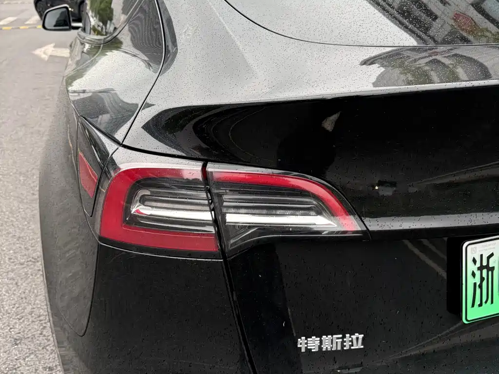 Tesla Model Y — миниатюра 10