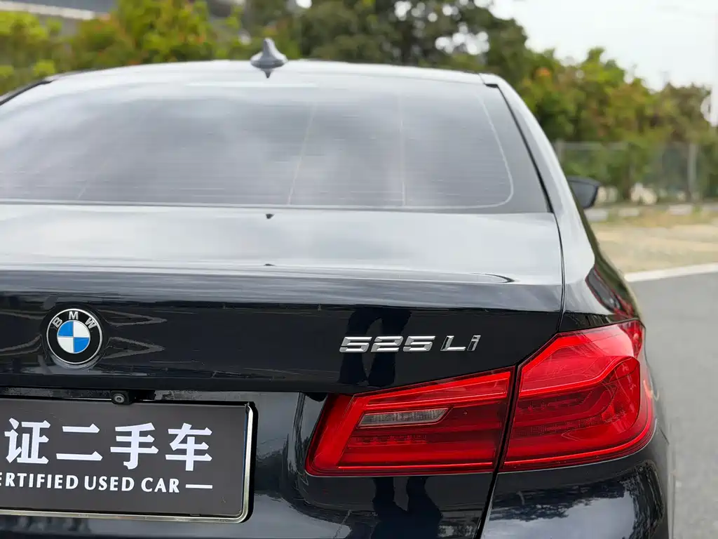 BMW 5 Series 5 2019 525Li M Sport
