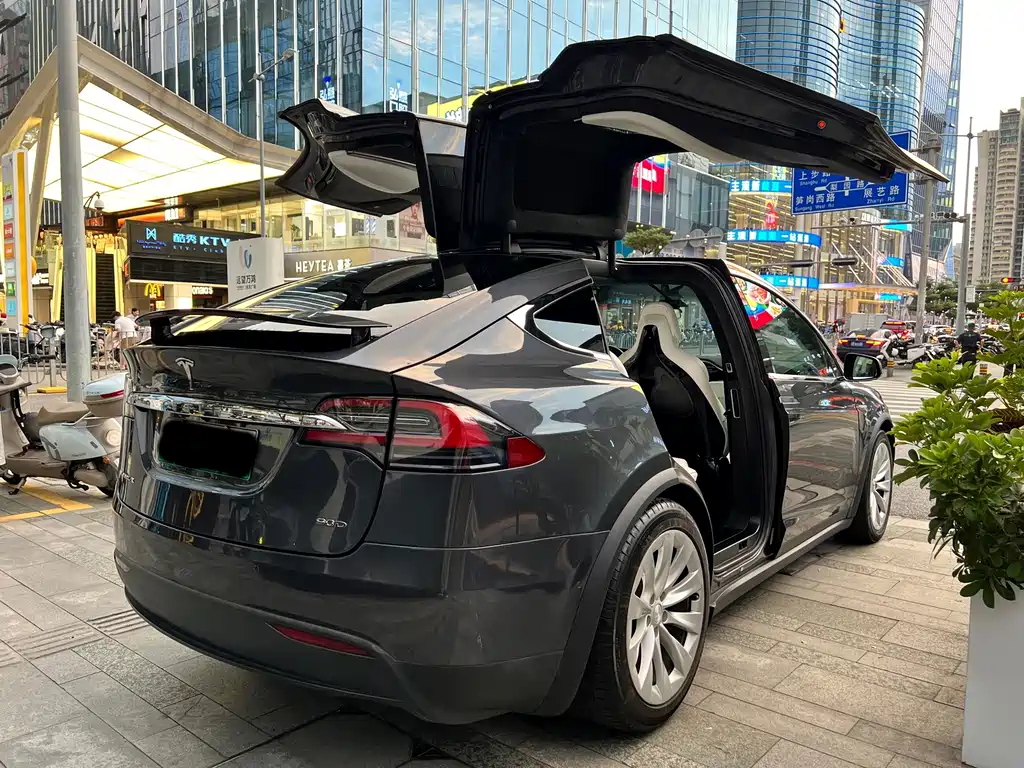 Tesla Model X — миниатюра 17