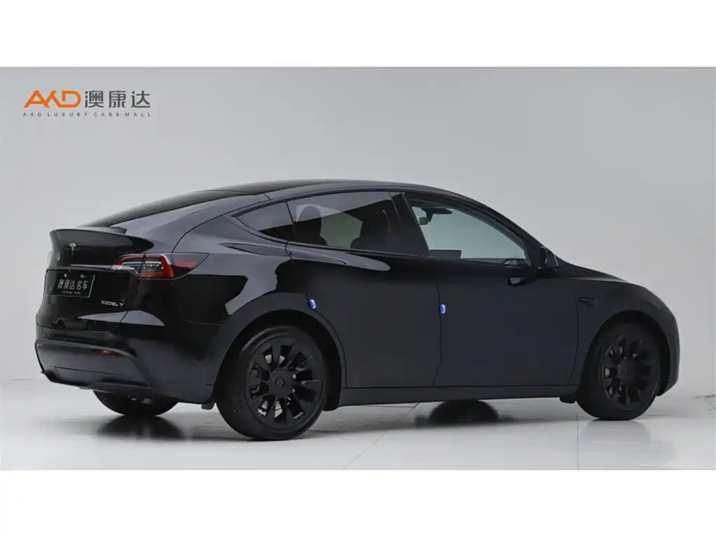 Tesla Model Y — миниатюра 3