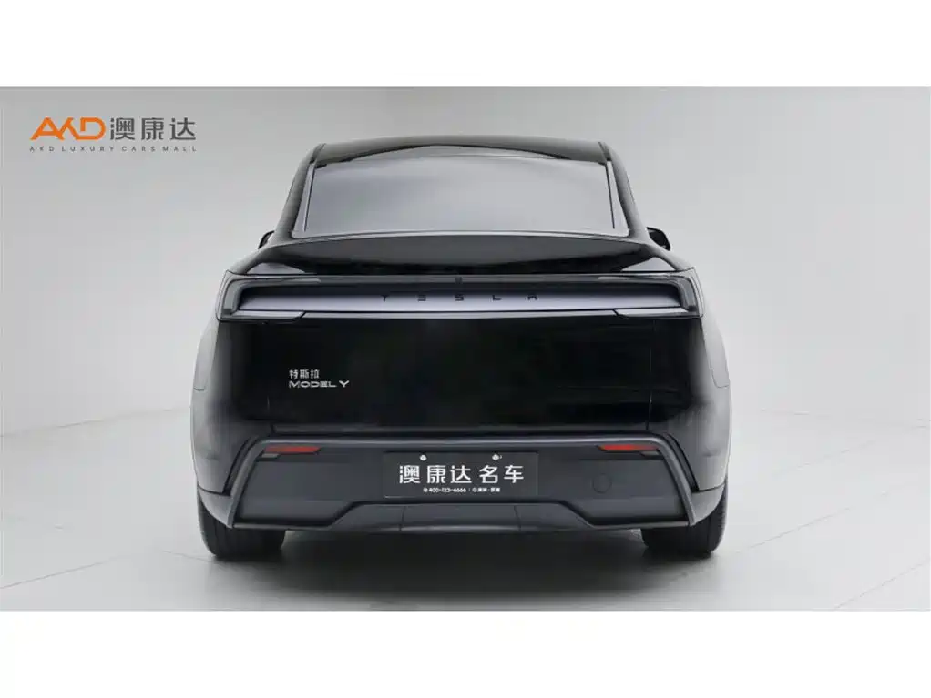 Tesla Model Y — миниатюра 4