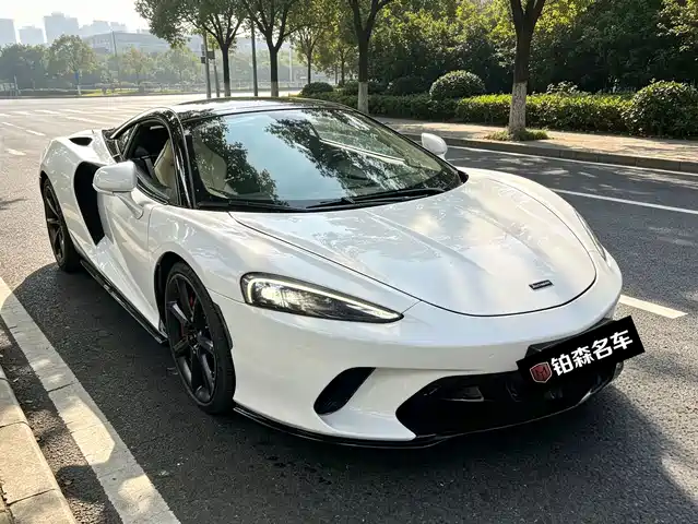 McLaren GT 2019 4.0 T Standard — фото 1