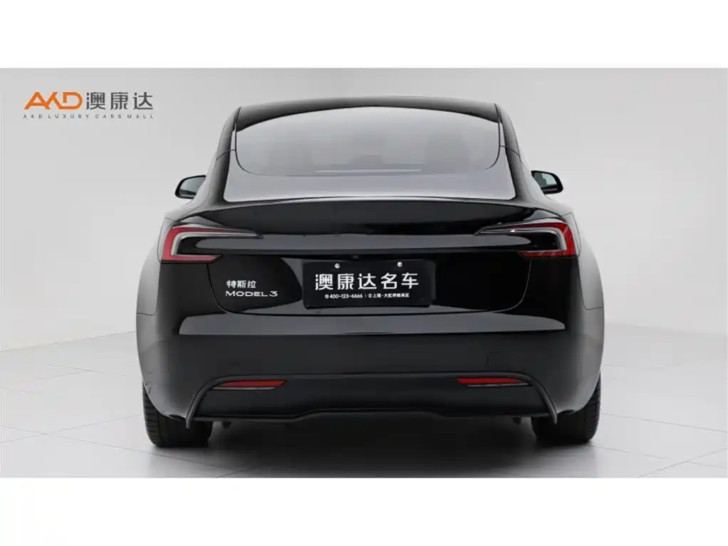 Tesla Model 3 — миниатюра 4
