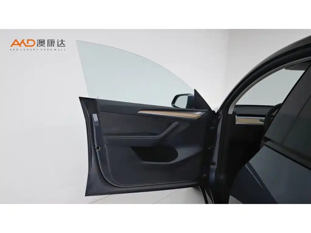 Tesla Model Y — миниатюра 10