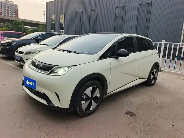 2023 BYD Dolphin