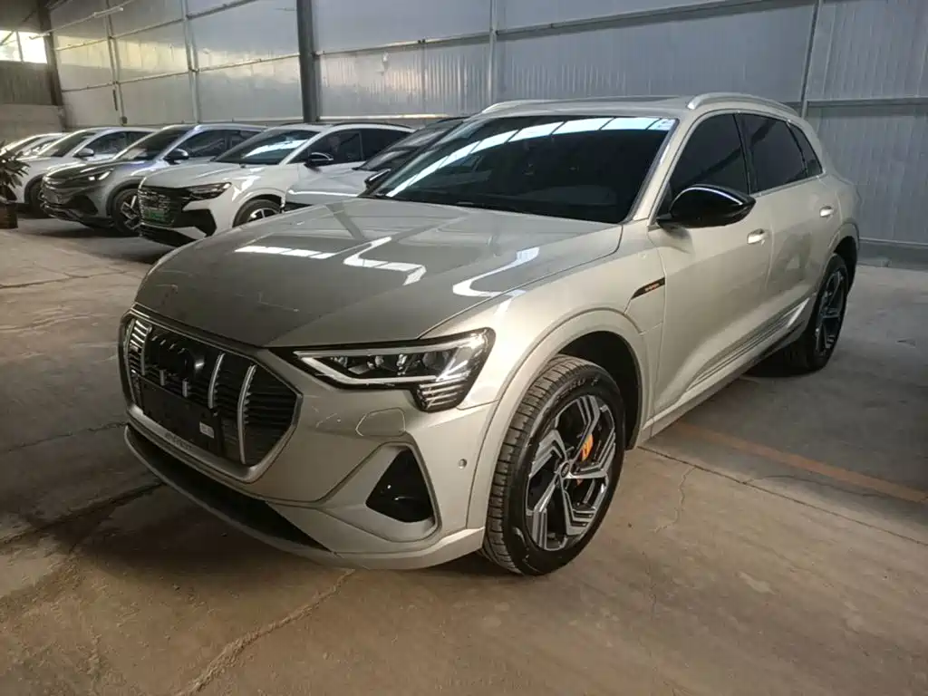 Audi e-tron — миниатюра 2