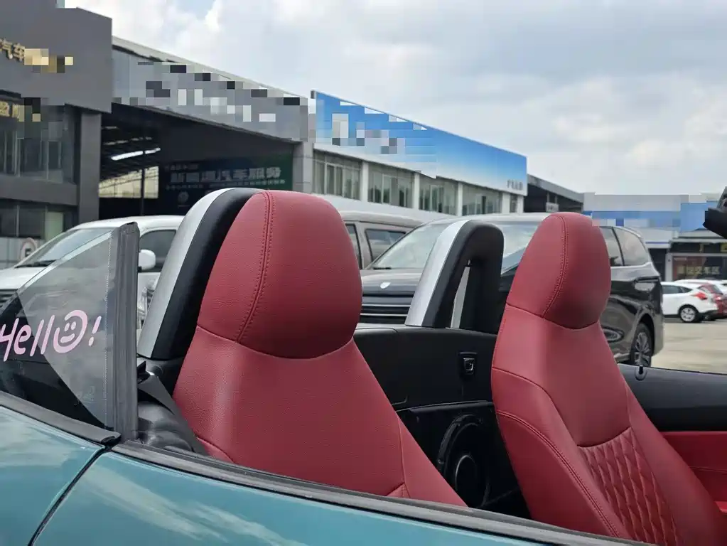 BMW Z4 2009 sDrive23i Lead