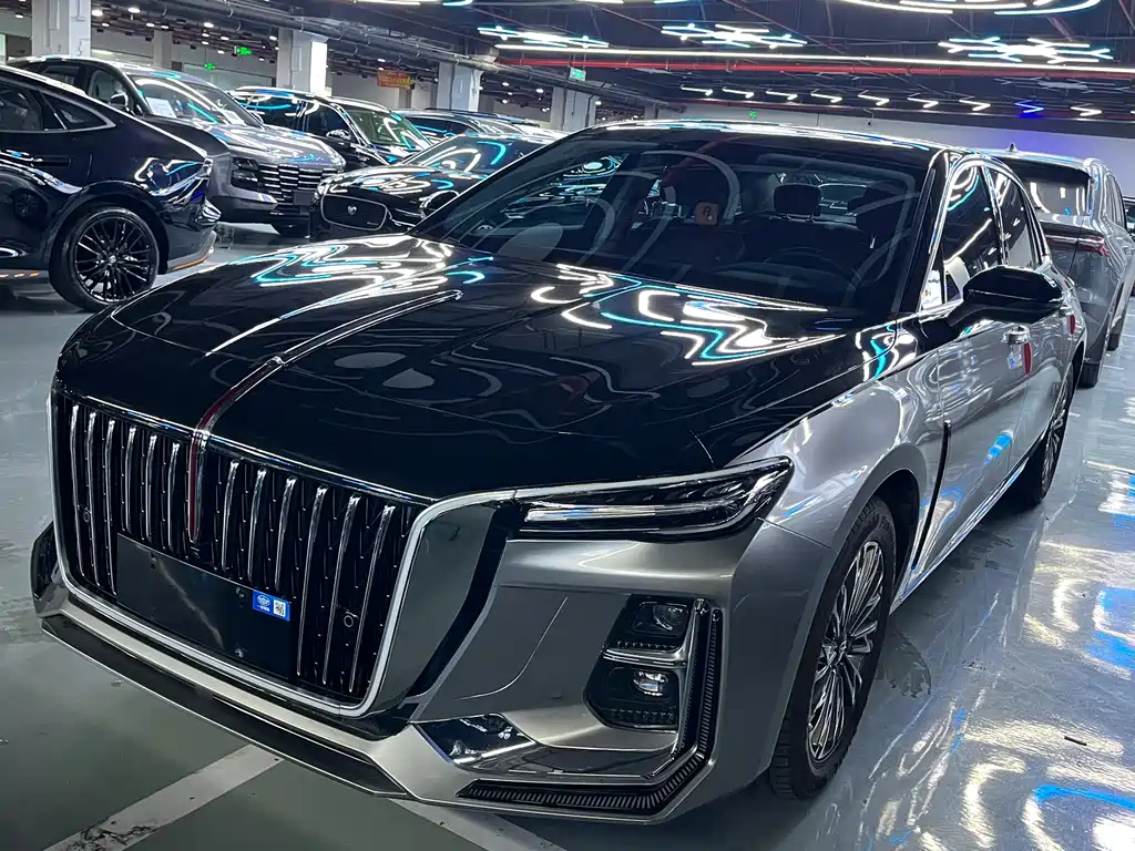 Hongqi Hongqi H5 2024