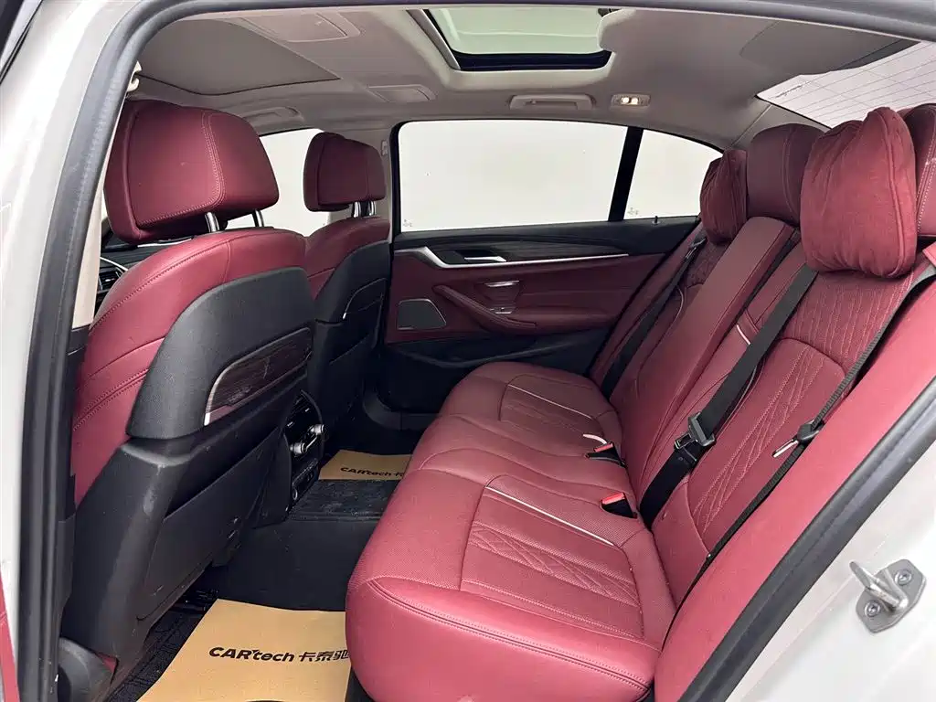 BMW 5 Series 5 2021 530Li Premium Luxury