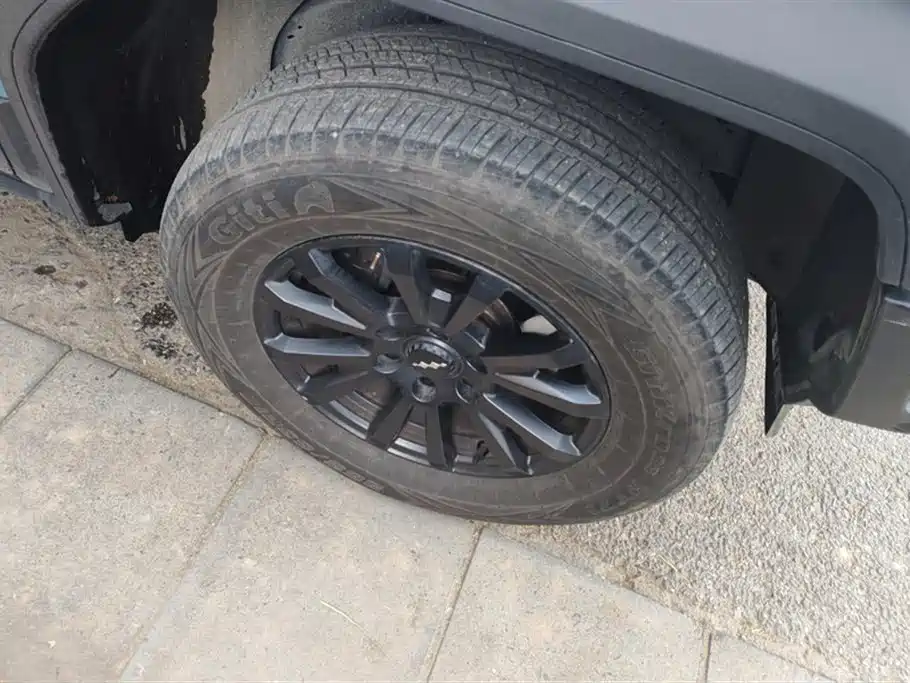 FANG CHENG BAO LEOPARD 5