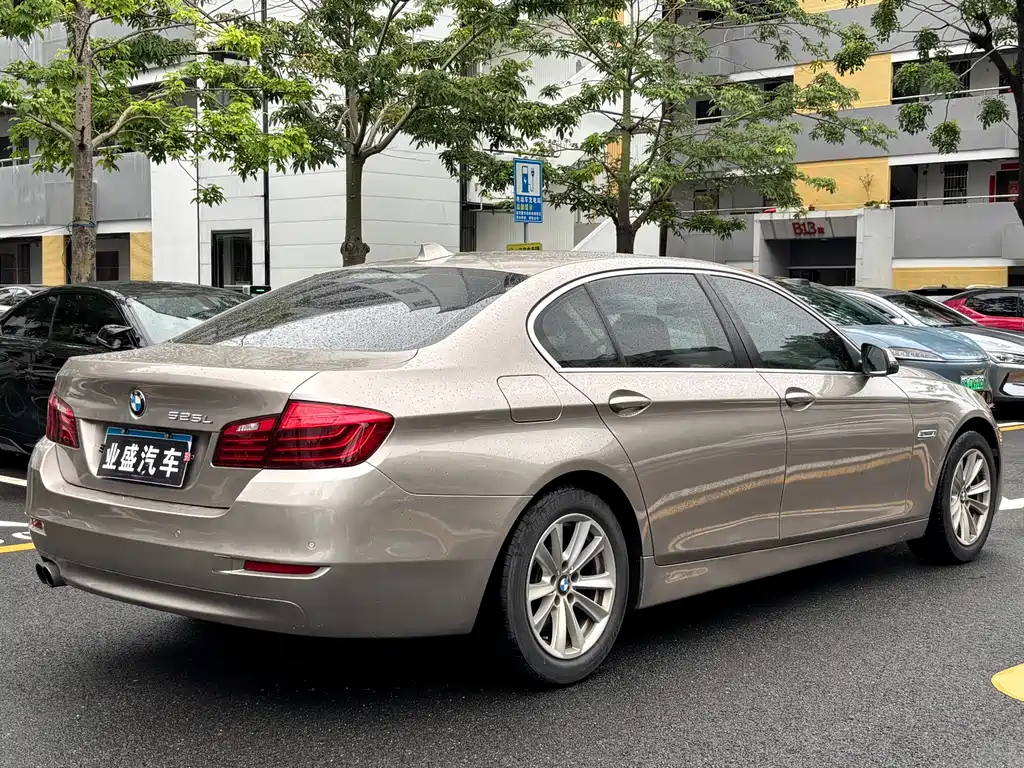 BMW 5 Series 5 2017 520Li Elegant