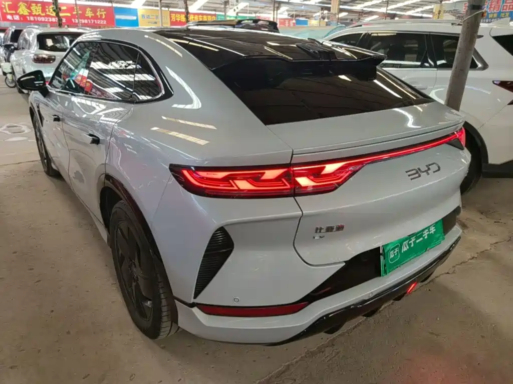 BYD L EV — миниатюра 5