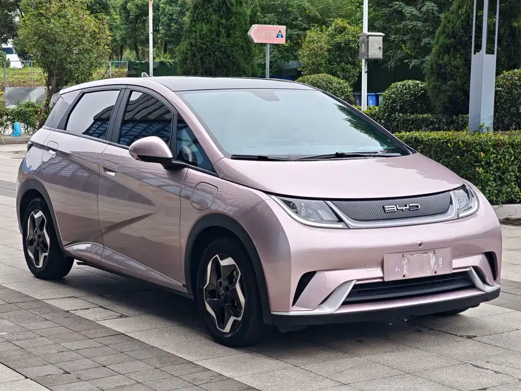 BYD Dolphin — миниатюра 3