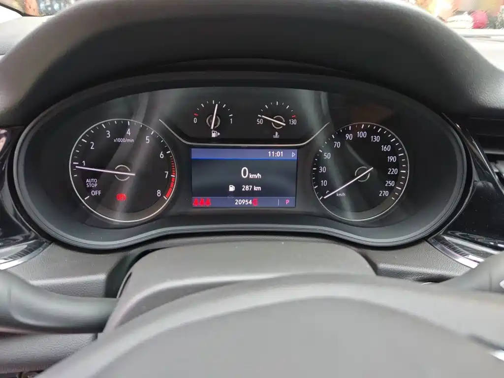 Buick Regal — миниатюра 13