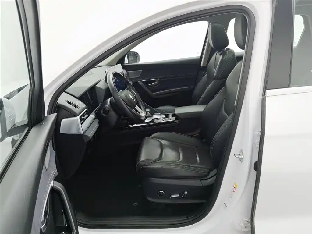 BYD SONGJIANG NEW ENERGY