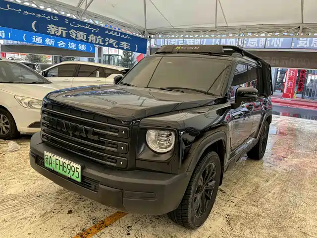 HAVAL RAPTORS NEW ENERGY 2024