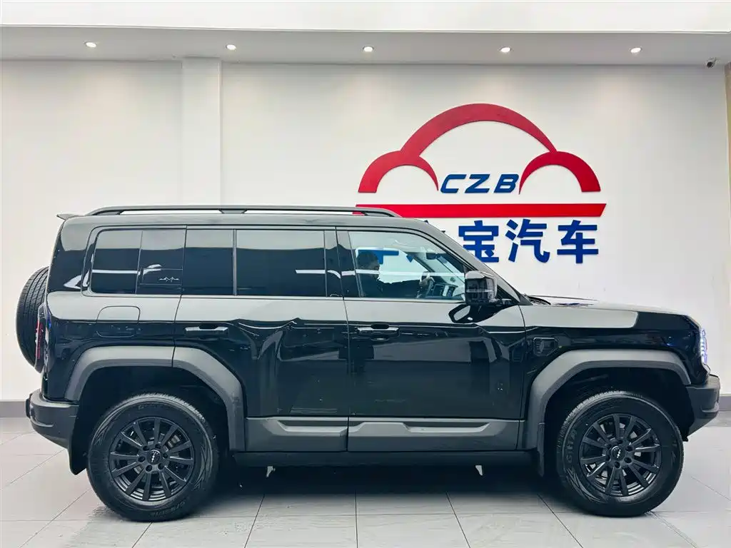 FANG CHENG BAO LEOPARD 5