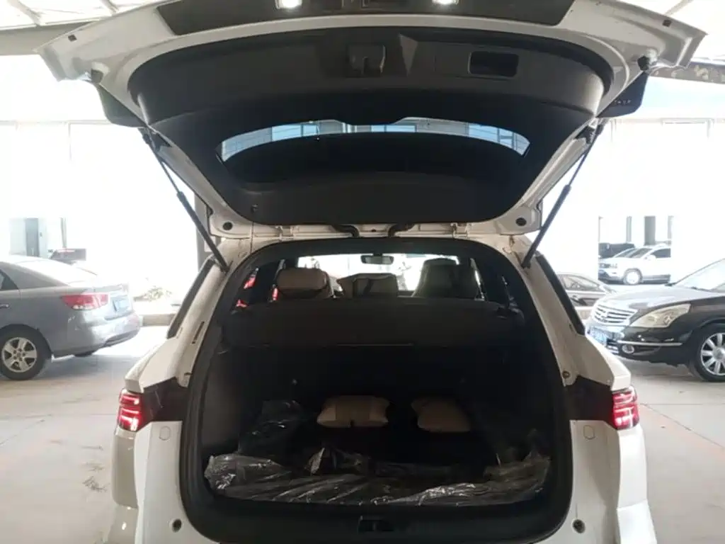 BYD Pro New Energy — миниатюра 19