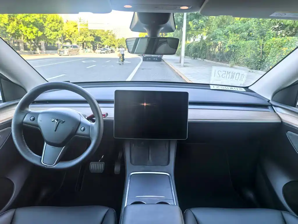 Tesla Model Y — миниатюра 12