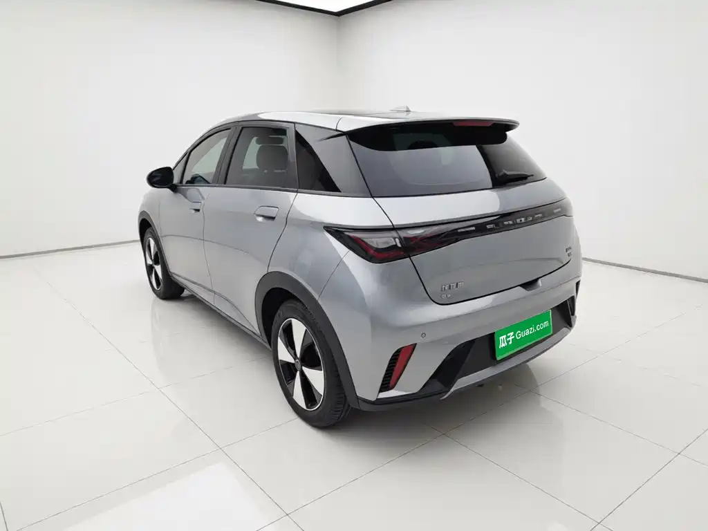 BYD Dolphin — миниатюра 25
