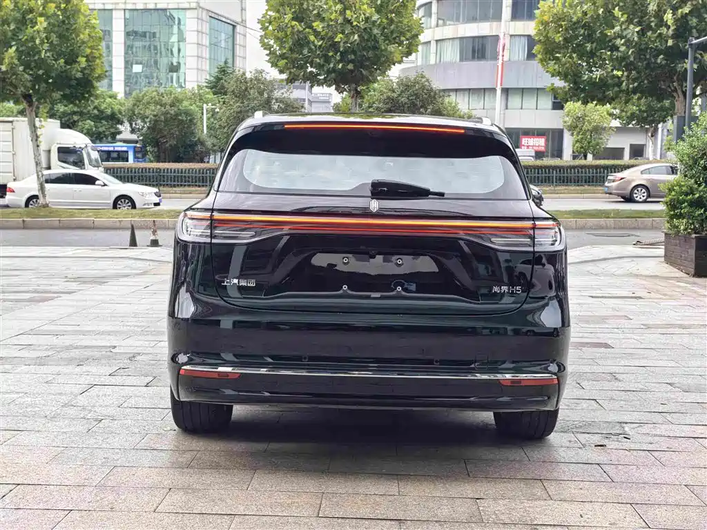 Shangjie Shangjie H5 — миниатюра 8