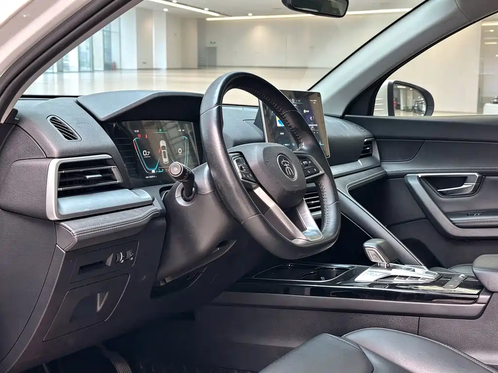 BYD Pro — миниатюра 19
