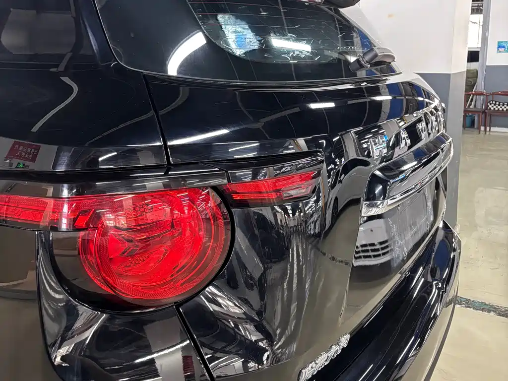 Haval Haval Big Dog PLUS — миниатюра 12