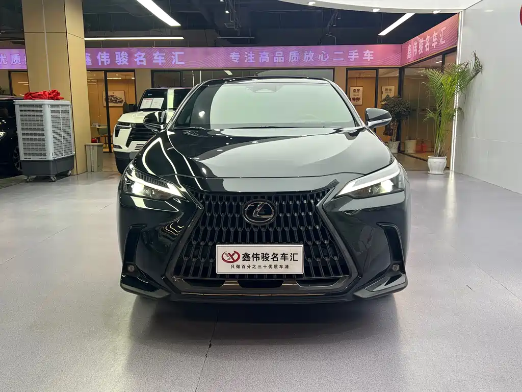 Lexus NX 2023 260