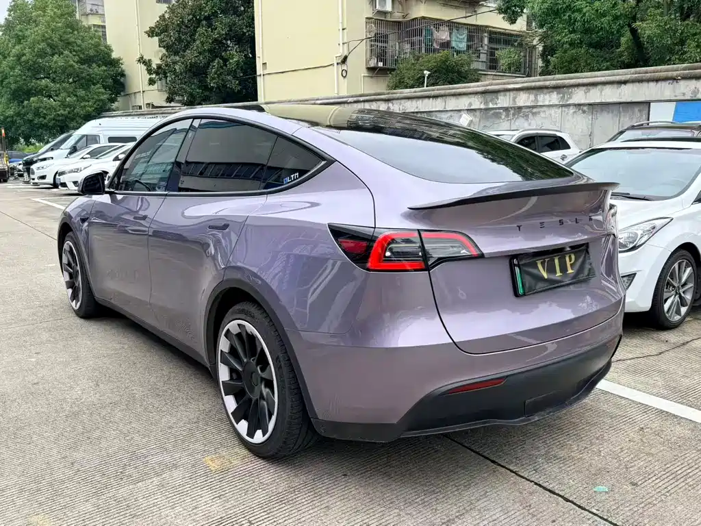 Tesla Model Y — миниатюра 4