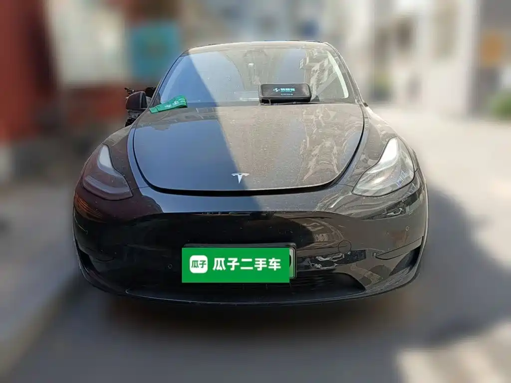 Tesla Model Y — миниатюра 2