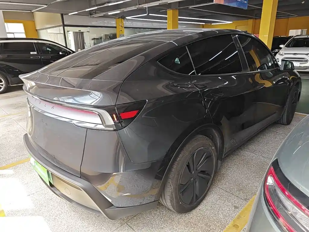 Tesla Model Y — миниатюра 7